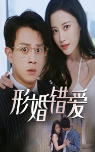 形婚错爱封面图