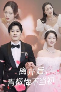 离开后青梅悔不当初封面图