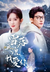 雪落再说我爱你封面图