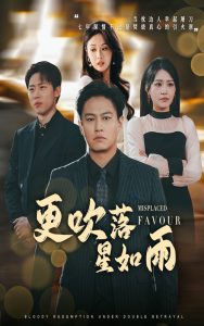 更吹落星如雨封面图