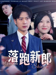 落跑新郎封面图