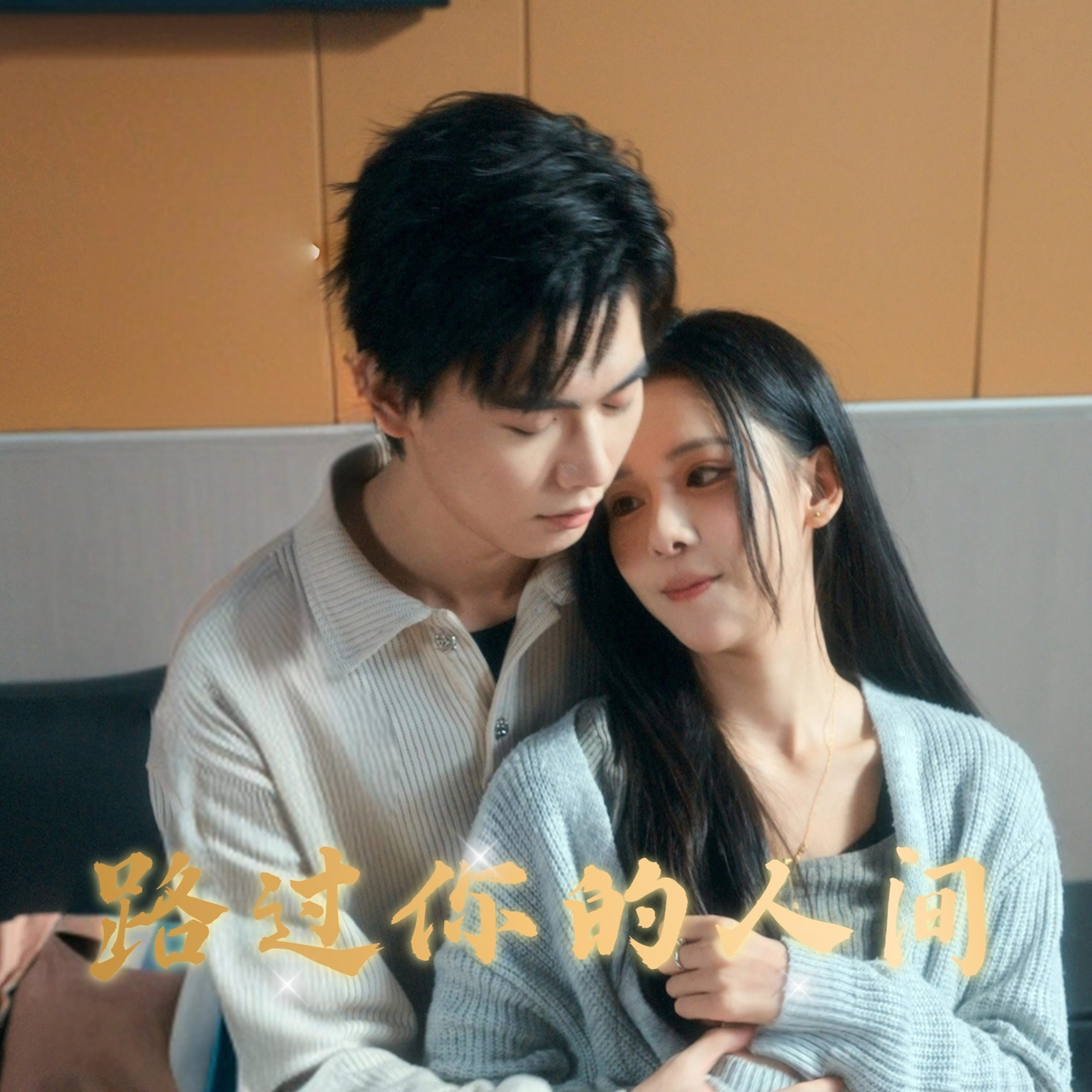 路过你的人间封面图