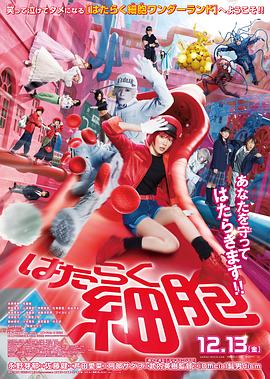 工作细胞真人版封面图