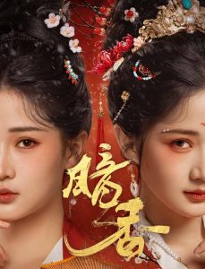暗香封面图