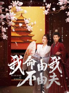 我命由我不由夫封面图