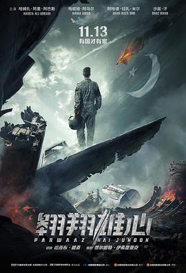 翱翔雄心封面图