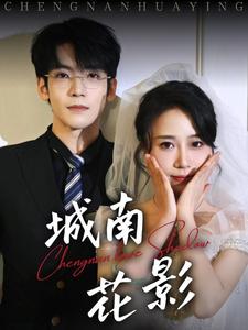 城南花影封面图