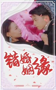 错嫁姻缘封面图