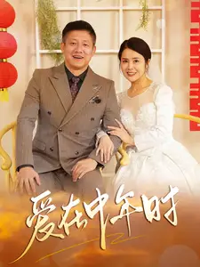 爱在中年时封面图
