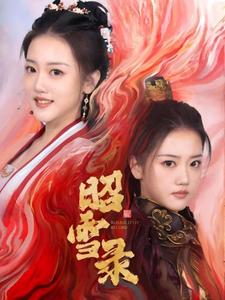 昭雪录封面图