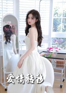 爱情转移封面图
