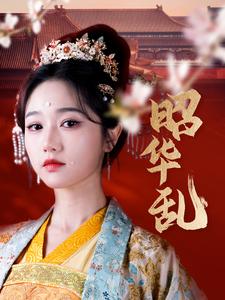 昭华乱封面图