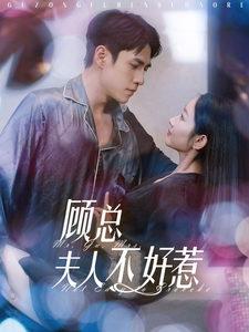顾总夫人不好惹封面图