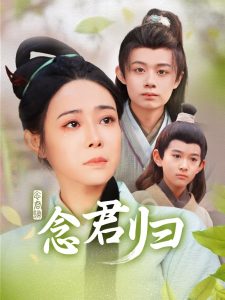 念君归封面图