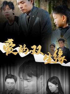 爱的双生缘封面图