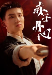 赤子丹心封面图