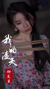 我的渣夫柳先生封面图