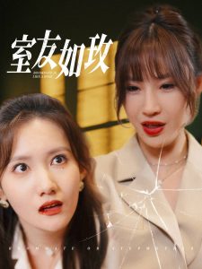 室友如玫封面图