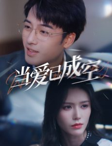 当爱已成空30集封面图