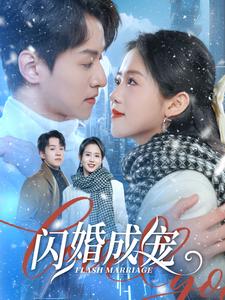 闪婚成宠封面图