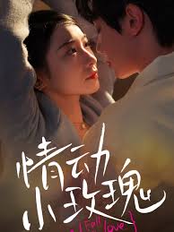 情动小玫瑰封面图