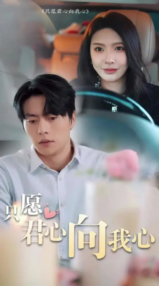 只愿君心向我心封面图