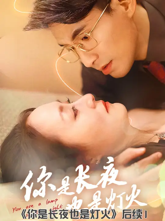 你是长夜也是灯火封面图