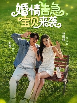 婚情告急，宝贝来袭封面图