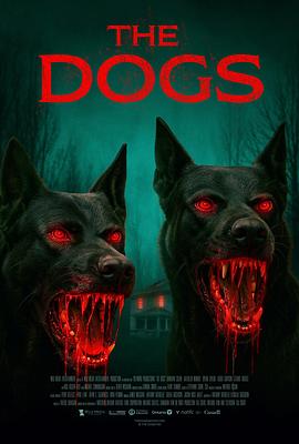 通灵恶犬封面图