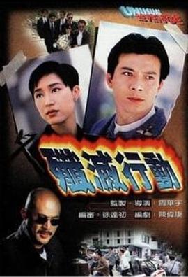 歼灭行动粤语封面图
