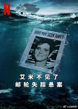 艾米不见了：邮轮失踪悬案封面图