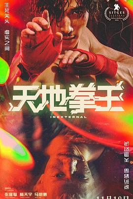 天地拳王粤语封面图