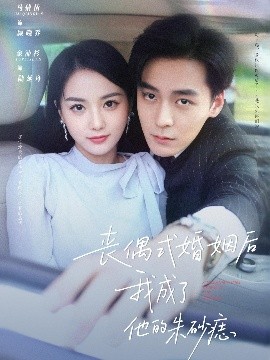 丧偶式婚姻后我成了他的朱砂痣封面图