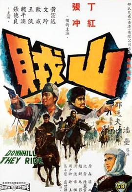 山贼封面图