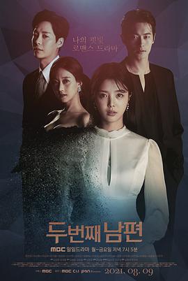 第二个老公封面图