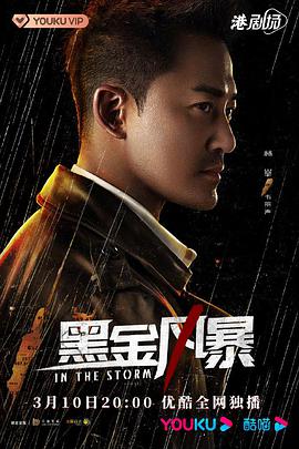 黑金风暴国语版封面图