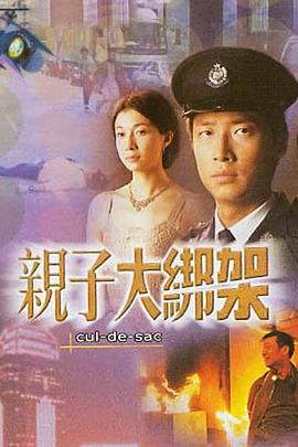 亲子大绑架粤语封面图