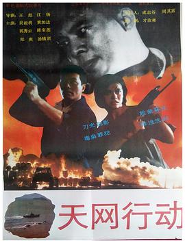 天网行动封面图