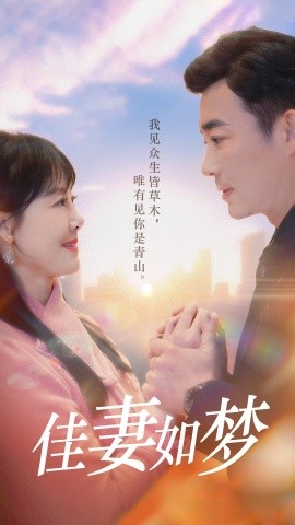 佳妻如梦封面图