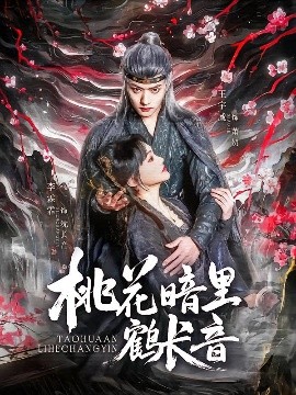 桃花暗里鹤长音封面图