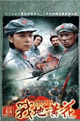 战地黄花封面图
