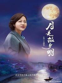 故乡无月明封面图
