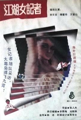 亡命女记者封面图