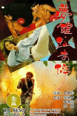 梦醒血未停封面图