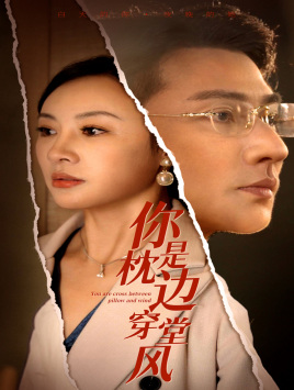 你是枕边穿堂风封面图