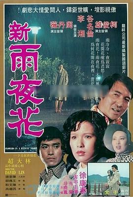 新雨夜花封面图
