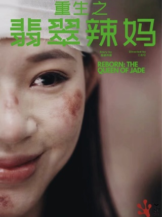 重生之翡翠辣妈封面图
