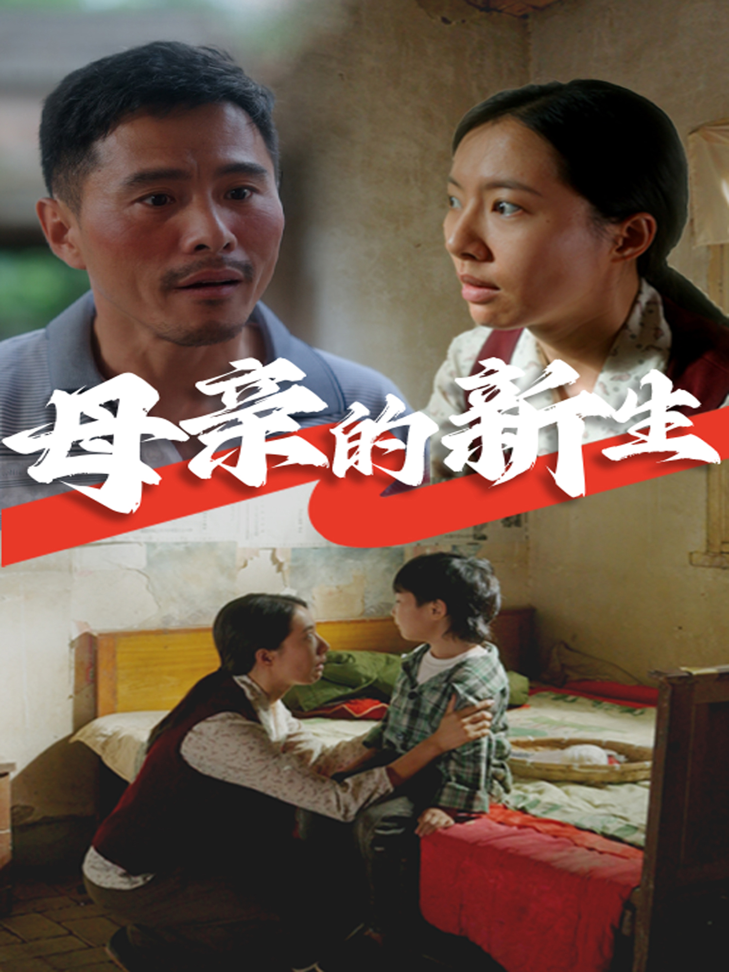 母亲的新生封面图