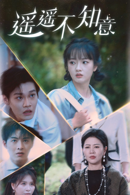 遥遥不知意封面图