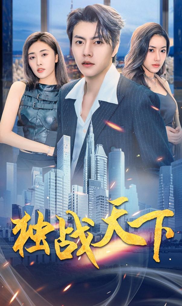 独战天下封面图